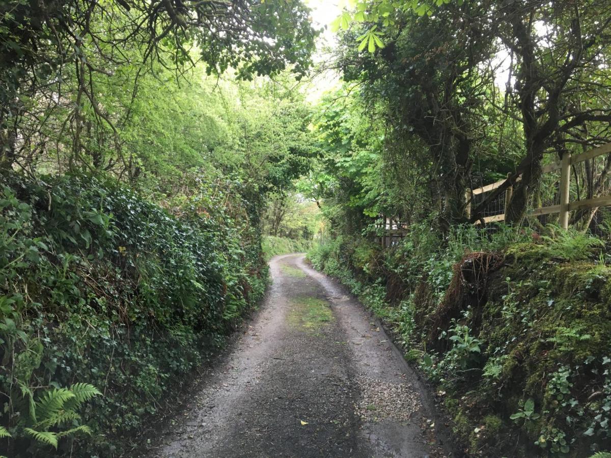 Higher Trenear Farm B&B Helston Bagian luar foto