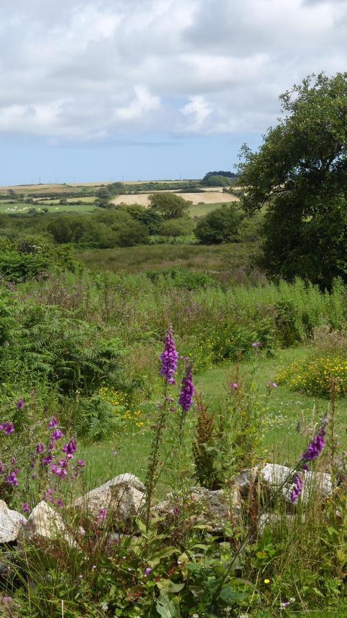 Higher Trenear Farm B&B Helston Bagian luar foto